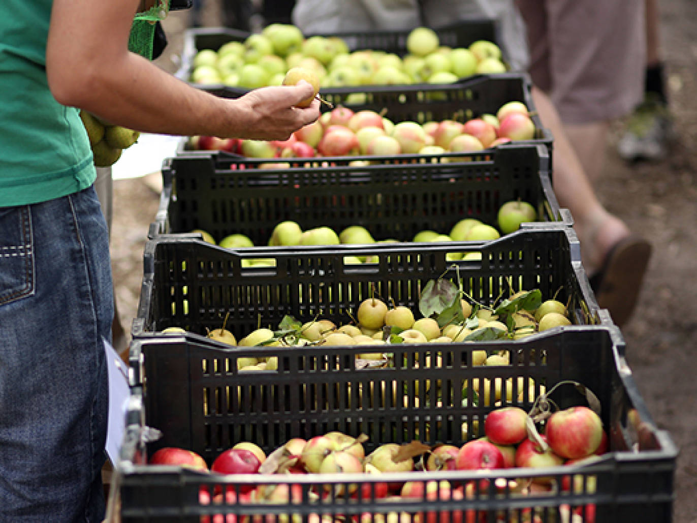 Farmers' markets in Melbourne for fresh local produce