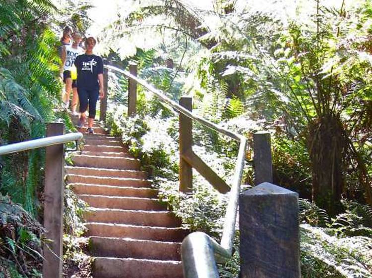 Attempt the 1,000 Steps Kokoda Track Memorial Walk