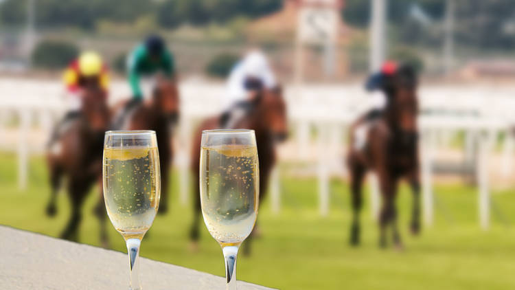 Two glasses of champagne sit on a ledge as horses race behind