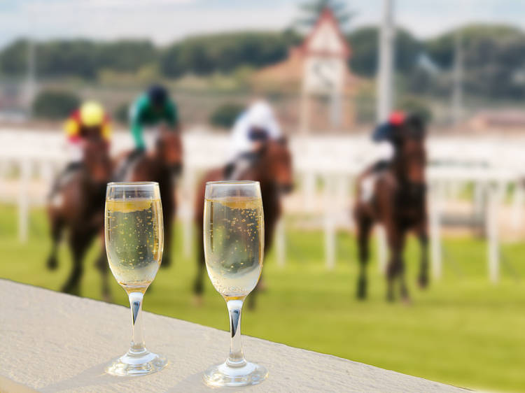 Melbourne Cup Lunches in Sydney