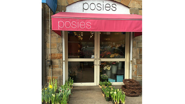 Posies