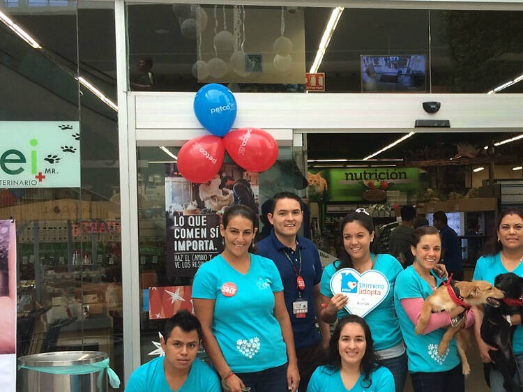 Gran evento de adopciones en Petco