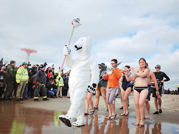 Polar Plunge