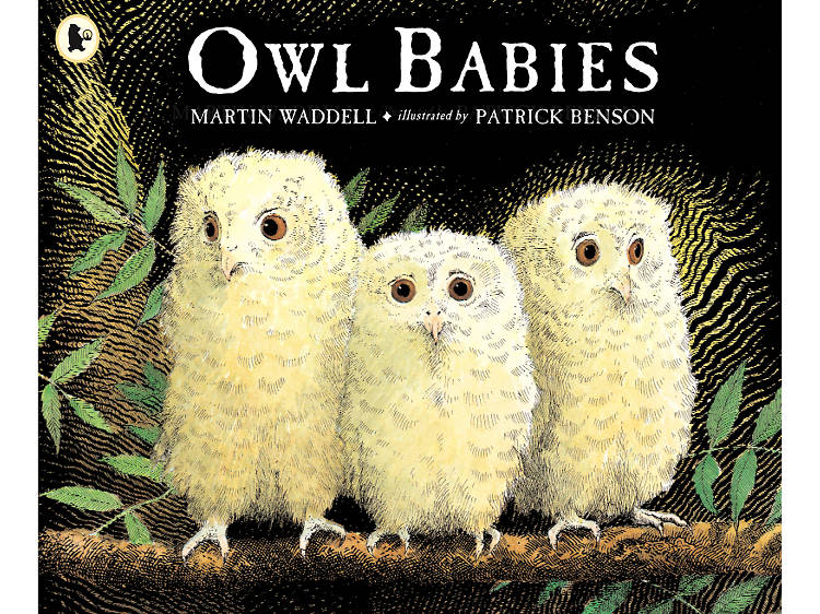 Owl Babies