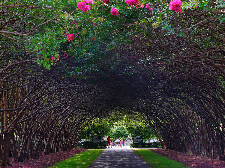 Dallas Arboretum