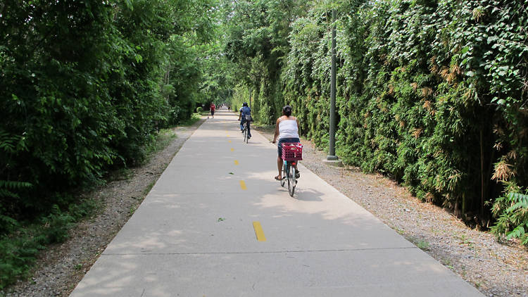 The Katy Trail (Photograph: Courtesy CC/Flickr/<a href="https://www.flickr.com/photos/dickdavid/5647413359/" target="_blank" rel="nofollow">Richard Wezensky</a>)