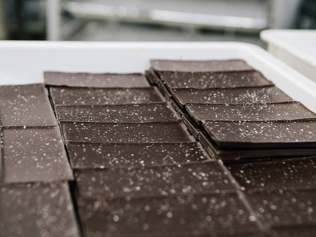 Raaka Chocolate Factory Tour Raaka Chocolate Factory Tour