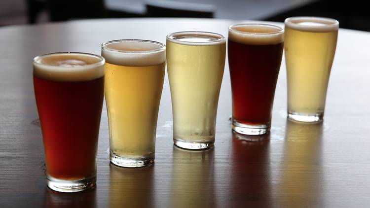 A line of five glasses of beer on a table