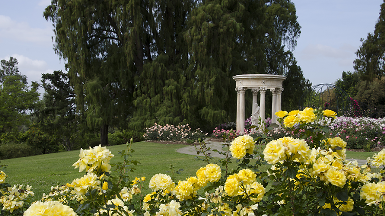 Huntington Library, Art Collections & Botanical Gardens