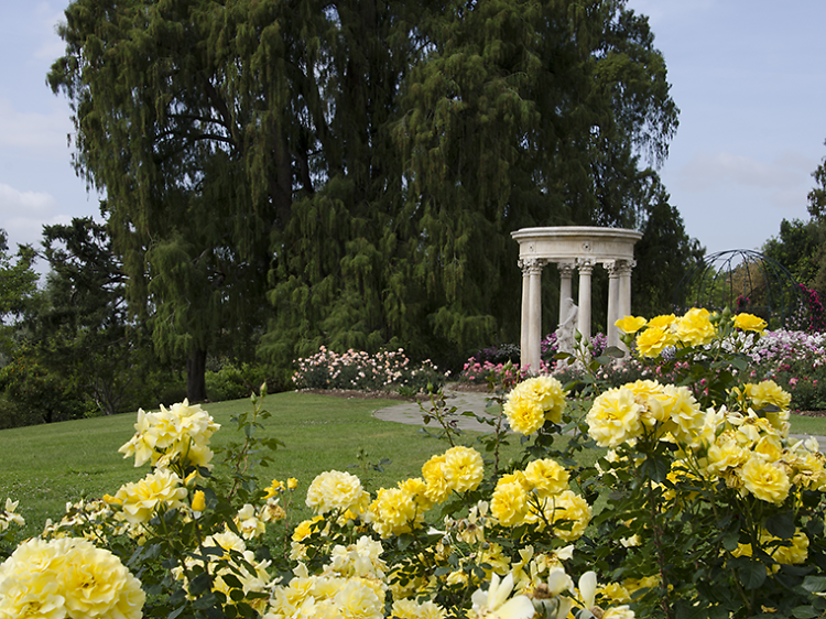 Huntington Library, Art Collections & Botanical Gardens