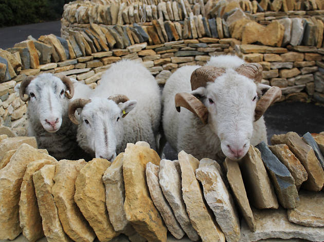 Dry Stone Walling Dry Stone Walling workshops