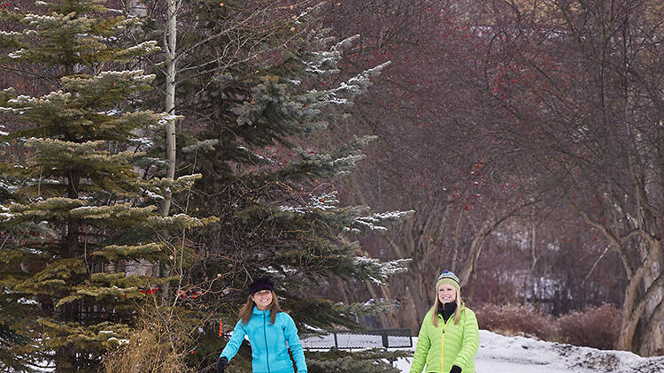 Ice skate at Woodland Park