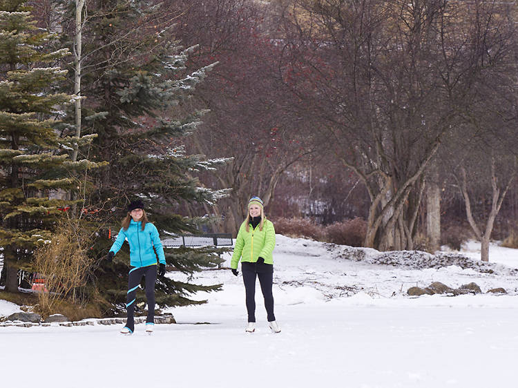 Ice skate at Woodland Park