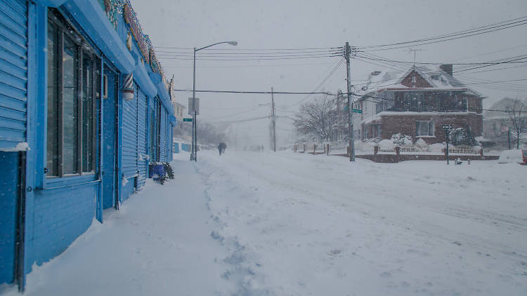 Briarwood, Queens, NY during Winter Storm Jonas