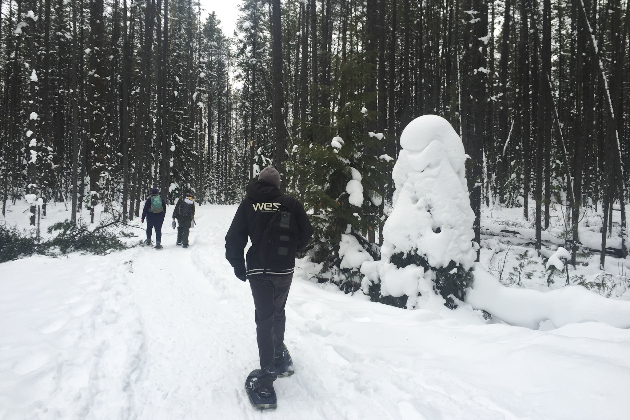 Best things to do at Glacier National Park, Montana