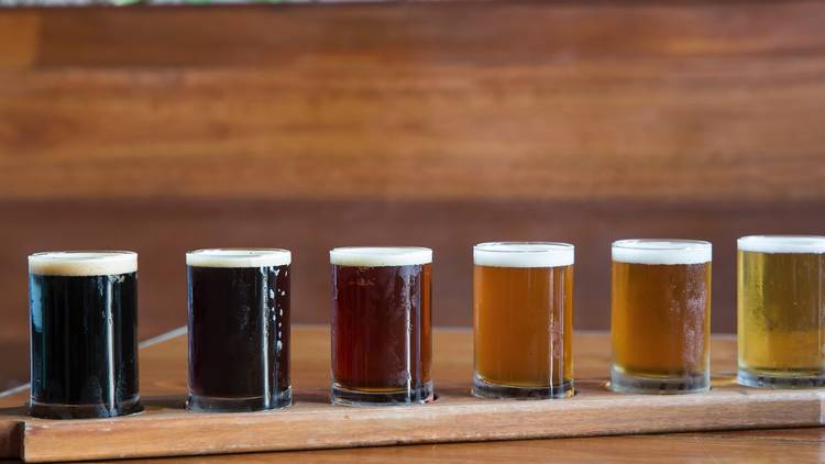 A beer paddle full of glasses with different varieties of beer