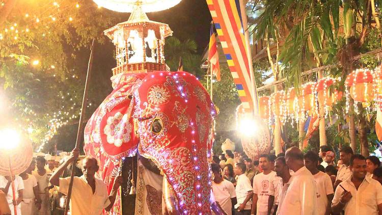 Navam Perahera