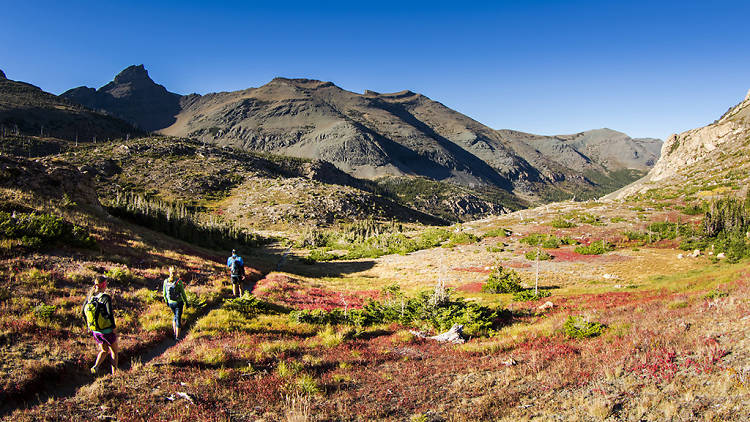 Hike in Glacier National Park