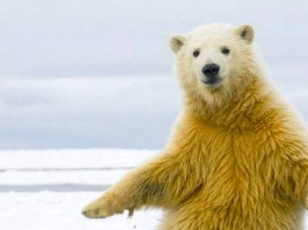 Ours Ours