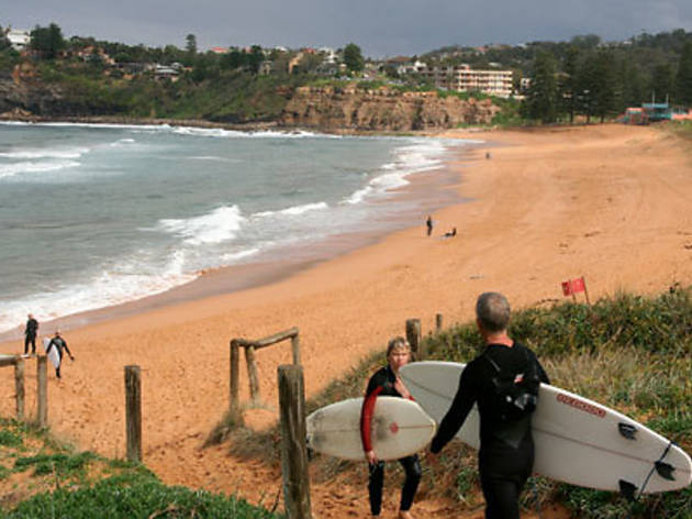 Avalon Beach Avalon Beach