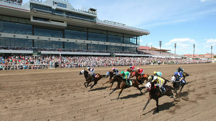 Canterbury Park Racecourse