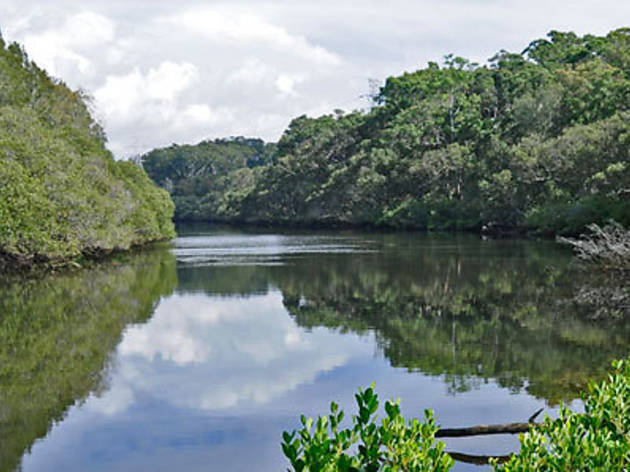Lane Cove National Park Generic Lane Cove National Park