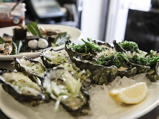 Sydney Cove Oyster Bar Sydney Cove Oyster Bar