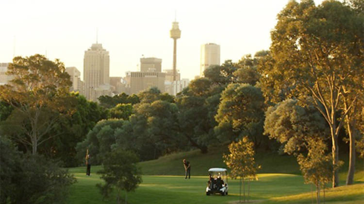 At the Moore Park Golf driving range 