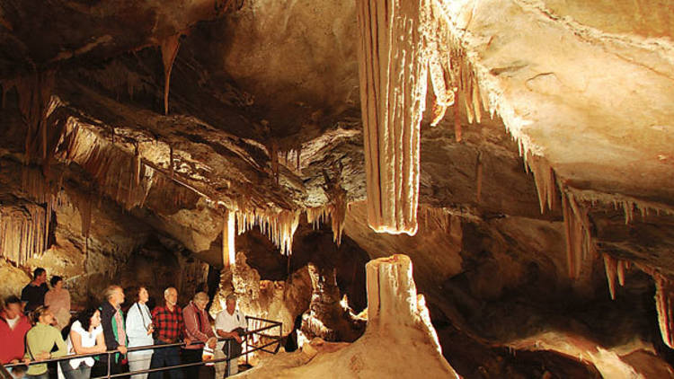 9.30am Do the Temple of Baal Cave Tour at Jenolan Caves