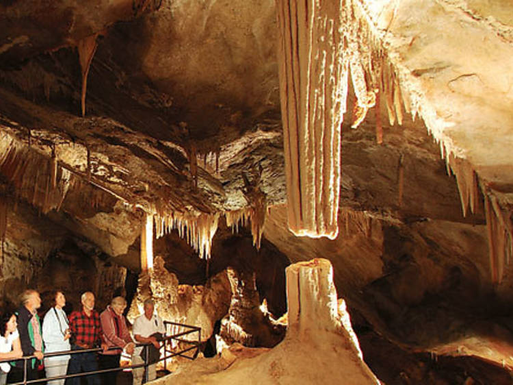 9.30am Do the Temple of Baal Cave Tour at Jenolan Caves