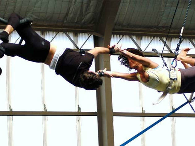 Sydney Trapeze School Sydney Trapeze School