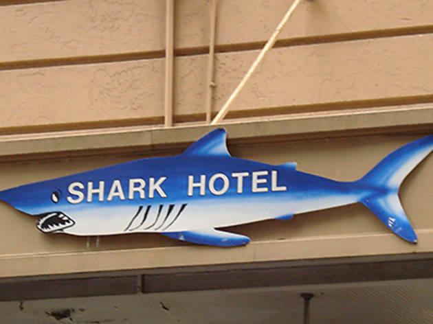 Shark Hotel Shark Hotel