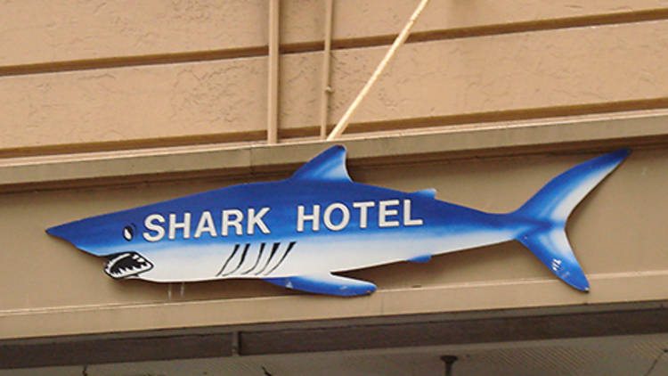 Shark Hotel