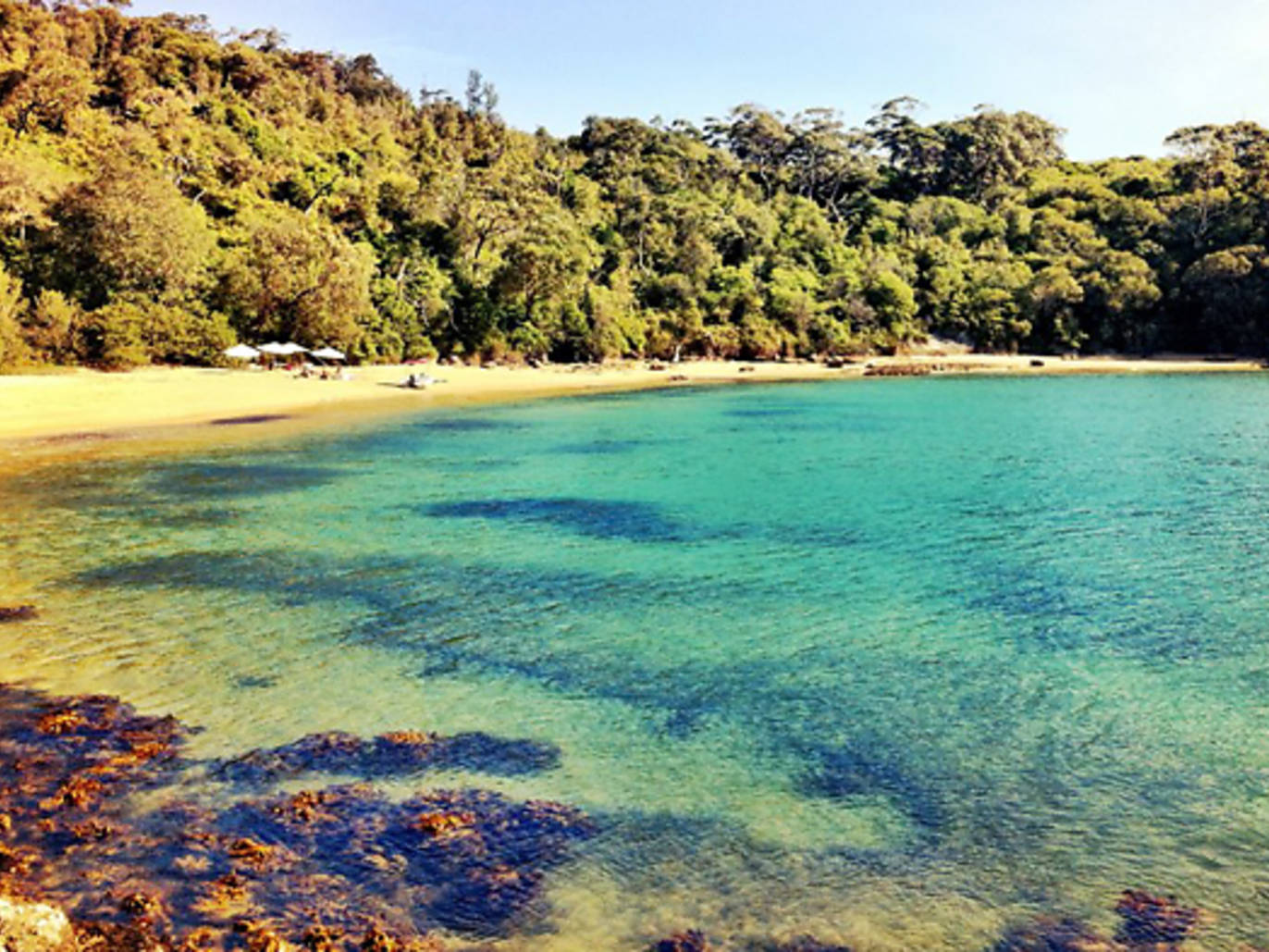 The best harbour beaches in Sydney
