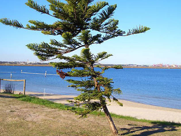 Lady Robinson Beach Lady Robinson Beach