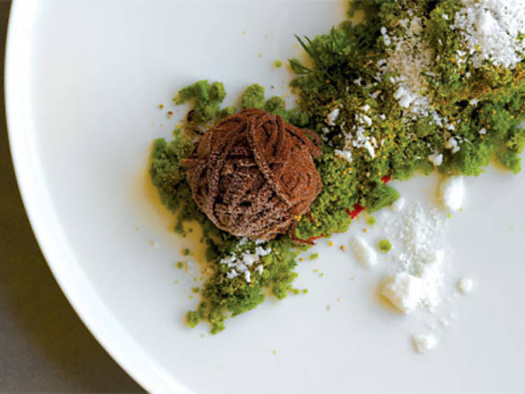 Best Outta Town: Biota Dining