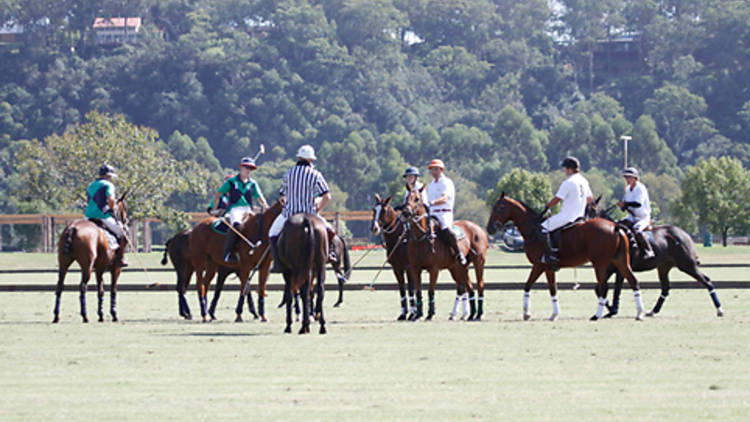 Kurri Burri Farm