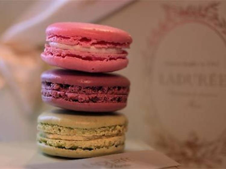 Laduree - Sydney