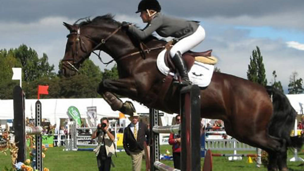 Sydney Show Jumping Club Sport and fitness in Western Sydney, Sydney