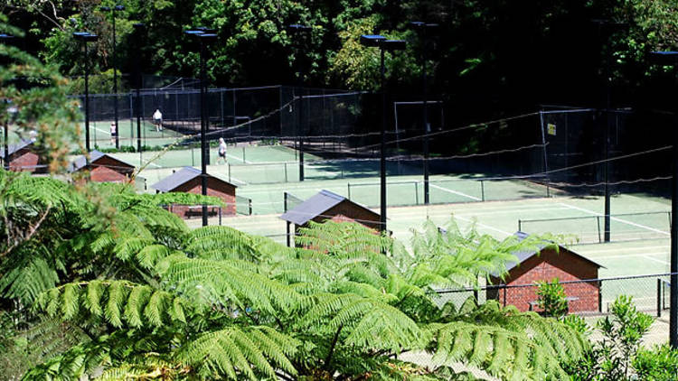 Cooper Park Tennis