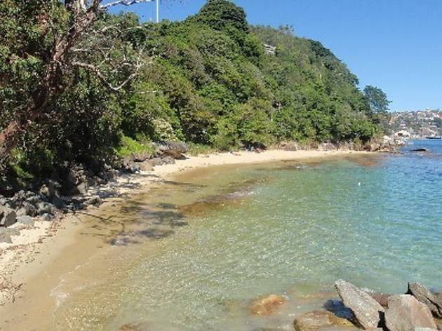 Black Sea Beach Nude - The 5 Best Nudist Beaches in Sydney