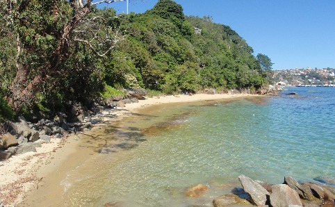 The 5 Best Nudist Beaches in Sydney