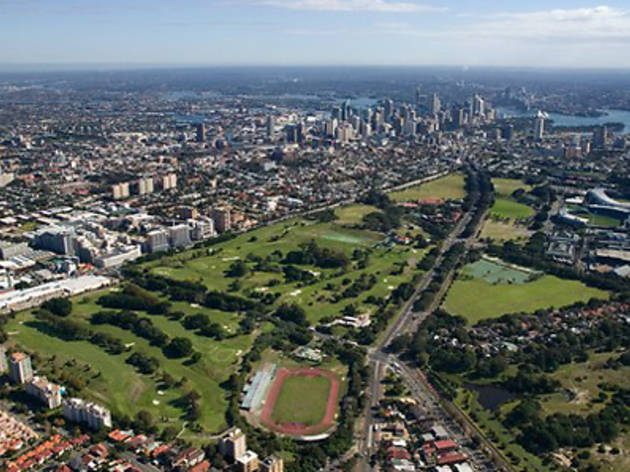 Moore Park Basketball