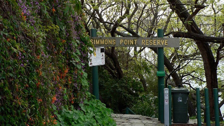 Simmons Point Reserve
