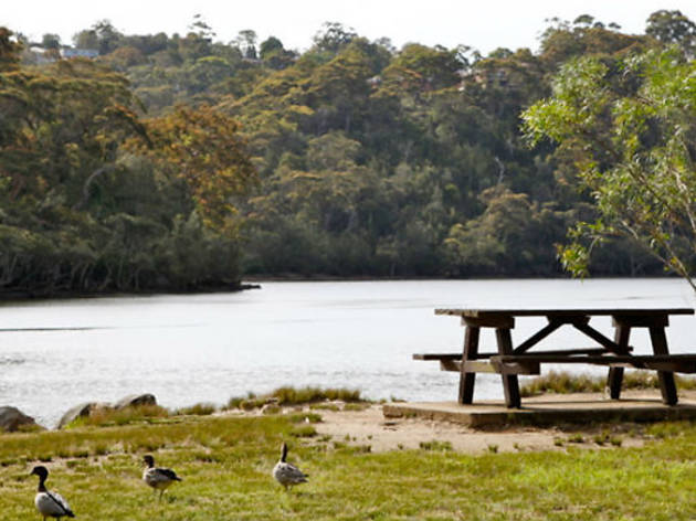 Davidson Park Davidson Park