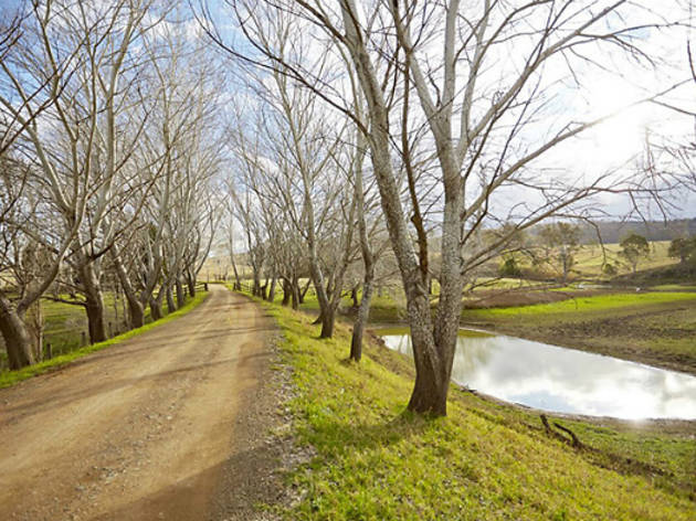 Around Dungog Around Dungog