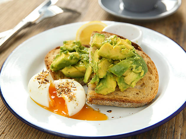 212_Blu--food+avocado.jpg
