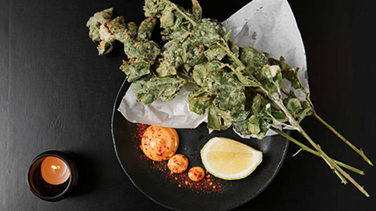 Bar H's saltbush