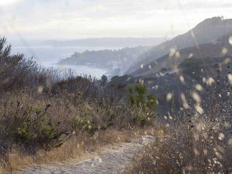 Corral Canyon Park