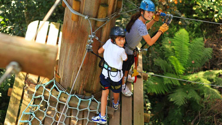 Get your Tarzan on at the Trees Adventure Park